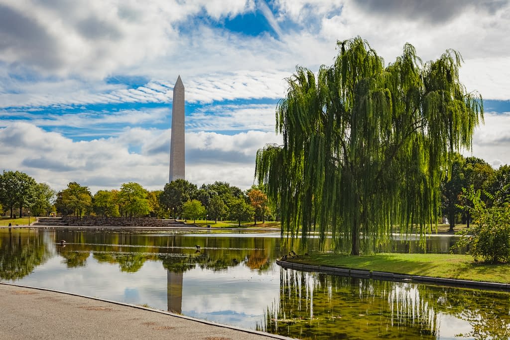 are dogs allowed at the national mall