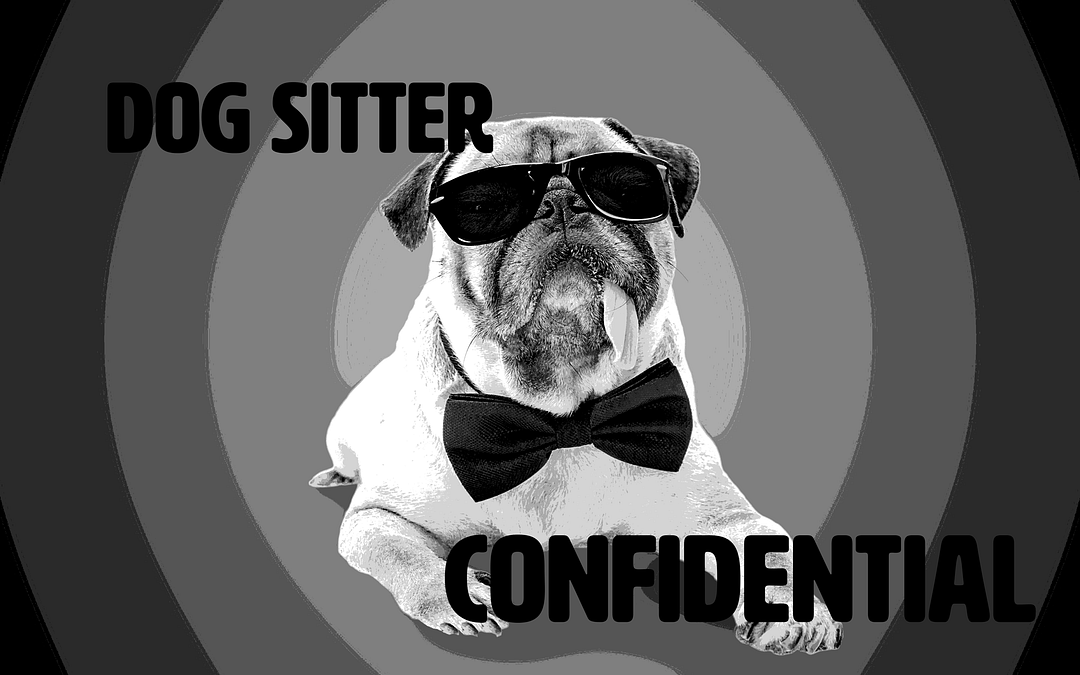 DC Dog Sitter Confidential
