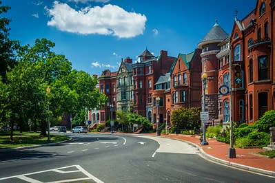  puppy-love-pet-sitters-dog-sitting-dc-row-houses-red-logan-circle